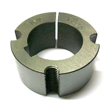 Taper Bush